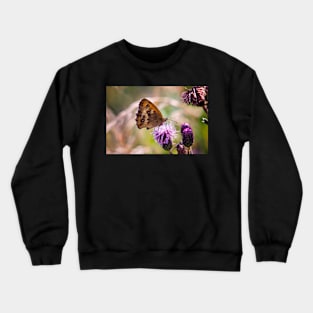 Meadow Brown Butterfly Crewneck Sweatshirt